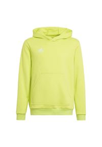 Adidas - Bluza piłkarska dla dzieci adidas Entrada 22 Hoody. Typ kołnierza: kaptur. Kolor: żółty. Materiał: materiał, polar. Sport: piłka nożna