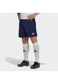 Adidas - Entrada 22 Training Shorts. Kolor: niebieski. Materiał: materiał. Sport: piłka nożna #1