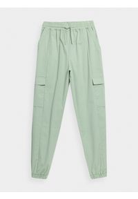 4f - Spodnie casual joggery damskie. Okazja: na co dzień. Kolor: zielony. Materiał: elastan, tkanina, materiał. Styl: casual