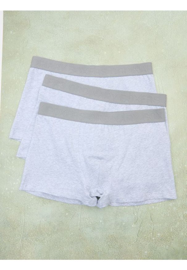 Sinsay - Bokserki Classic 3 pack - szary. Kolor: szary