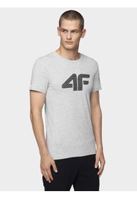 4f - T-Shirt męski. Kolor: szary #1