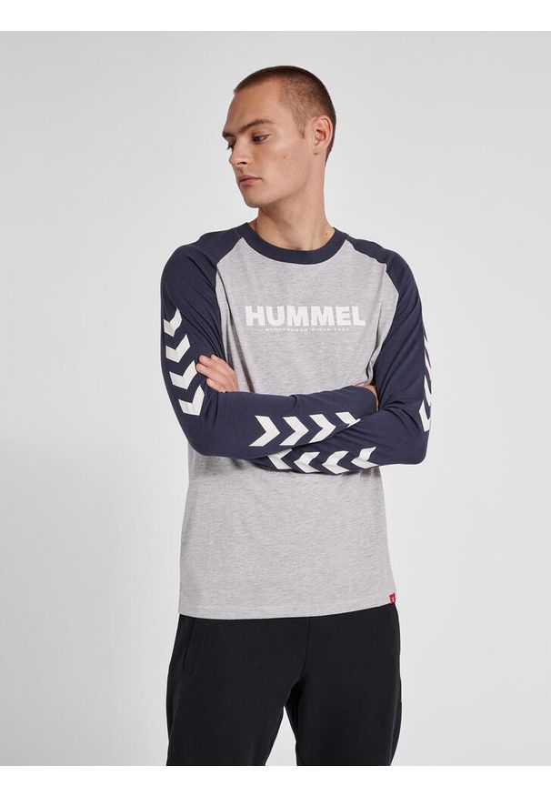 Koszulka z długim rękawem Hummel Legacy Blocked. Kolor: szary. Materiał: tkanina. Długość rękawa: długi rękaw. Długość: długie. Sport: piłka ręczna