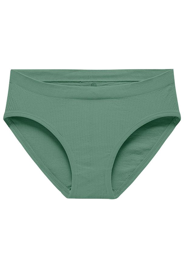 Intica - Figi prążkowane z elastyczną talią Reglindis. Kolor: zielony. Materiał: prążkowany. Wzór: prążki