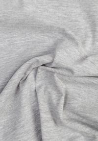 Renee - Jasnoszary T-shirt Ariema. Kolor: szary. Materiał: dzianina. Długość rękawa: krótki rękaw. Długość: krótkie. Wzór: gładki #6