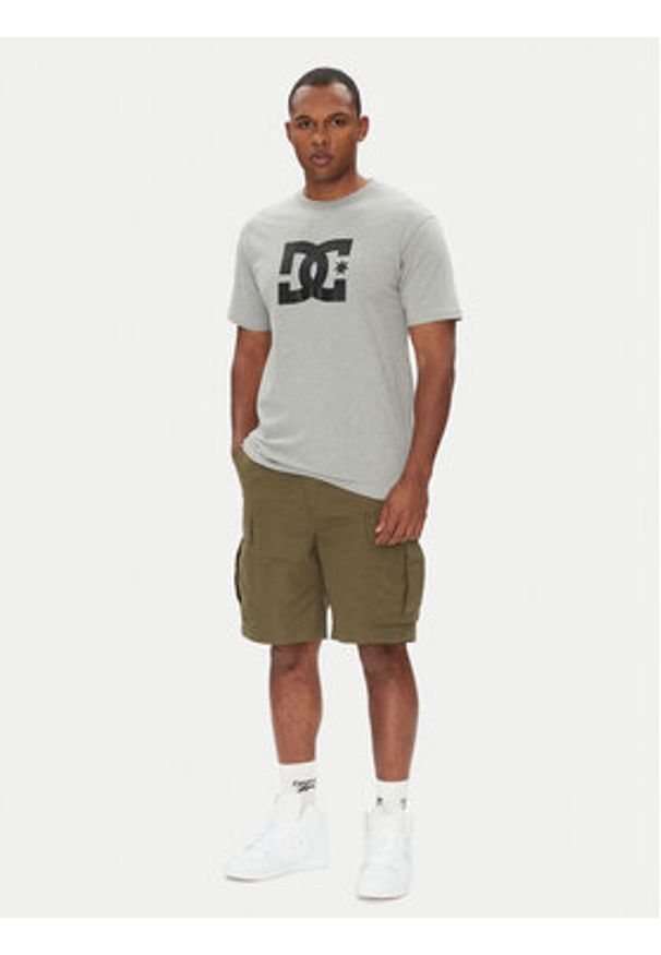 DC Shoes T-Shirt ADYZT05373 Szary Regular Fit. Kolor: szary. Materiał: bawełna