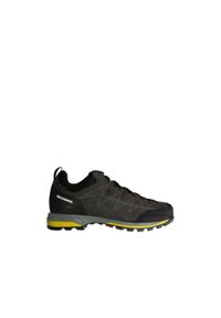 Scarpa - Buty trekkingowe męskie Zodiac GTX. Kolor: szary. Technologia: Gore-Tex