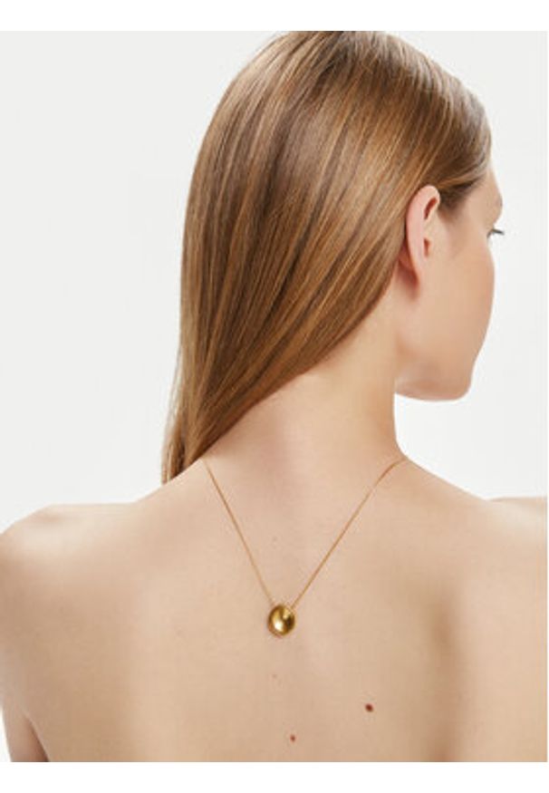 Skagen Naszyjnik SKJ1750710 Złoty. Materiał: metalowe. Kolor: złoty