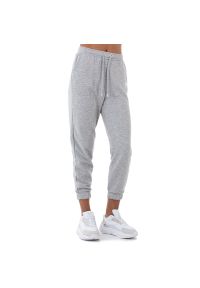 Spodnie Alpha Industries Basic Jogger SL 116051230 - szare. Kolor: szary. Materiał: bawełna, poliester, dresówka, materiał. Wzór: aplikacja