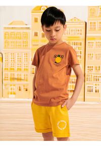 Sinsay - Szorty - żółty. Kolor: żółty. Materiał: dzianina #1