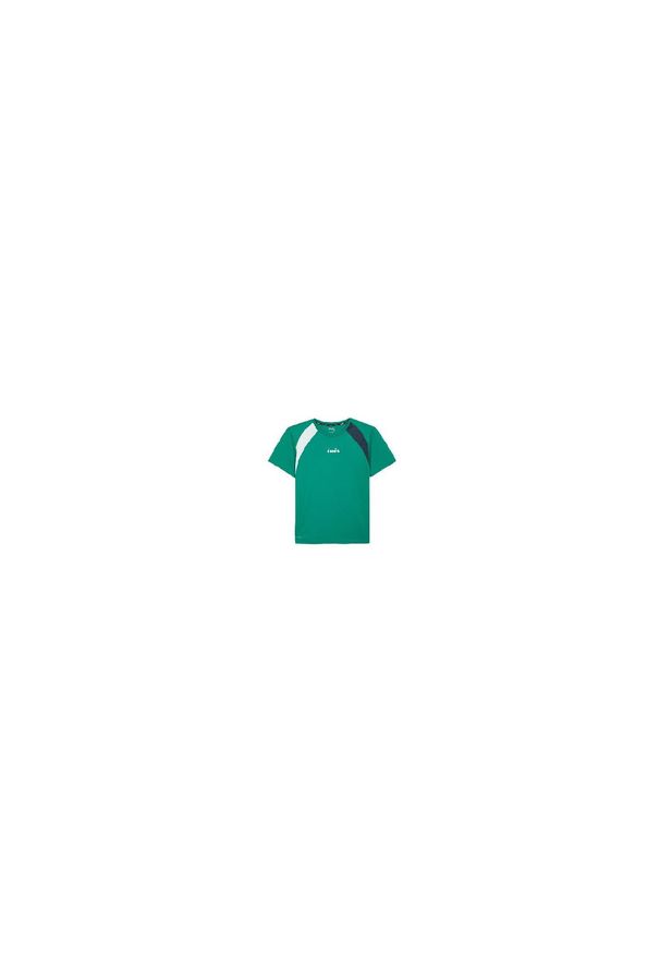 Koszulka tenisowa męska z krótkim rękawem Diadora SS T-Shirt. Kolor: wielokolorowy, niebieski, czarny, zielony, biały. Długość rękawa: krótki rękaw. Długość: krótkie. Sport: tenis