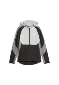 Puma Bluza Evostripe Fz 67593014. Kolor: wielokolorowy. Sport: fitness #1