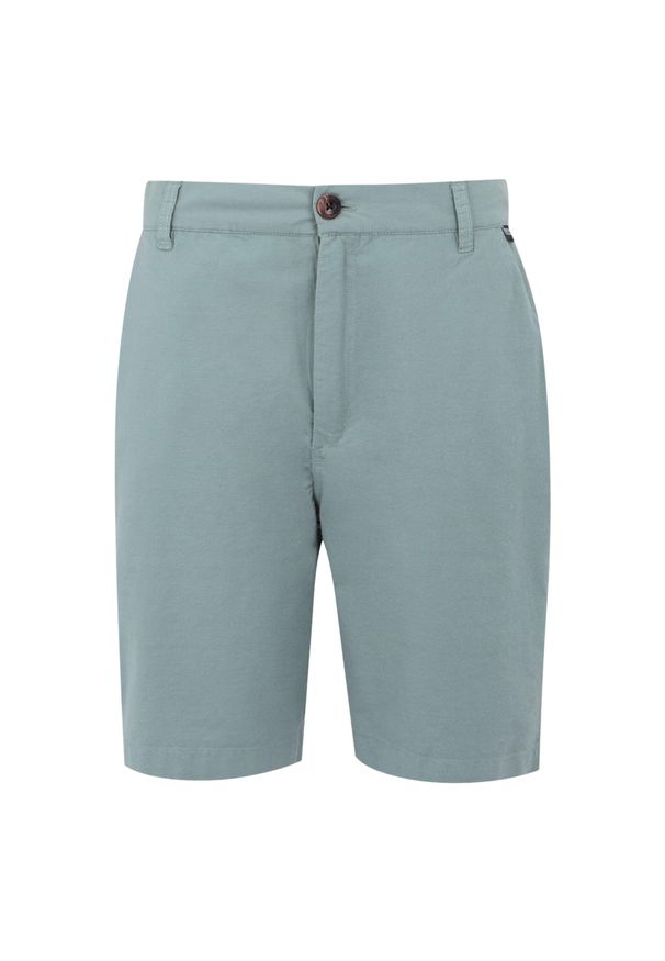 Regatta - Męskie Szorty Sabastal. Kolor: szary, niebieski, wielokolorowy. Sport: turystyka piesza