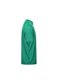 Jersey Kappa Dovo. Kolor: zielony. Materiał: jersey. Sport: fitness
