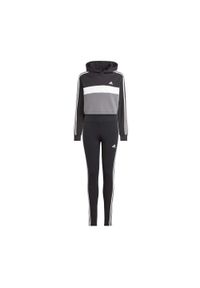 Dres Adidas Dzieci 3 Paski Czarny Biały Szary. Okazja: na co dzień, na uczelnię. Kolor: czarny. Materiał: poliester, bawełna. Wzór: paski. Styl: casual, sportowy #1