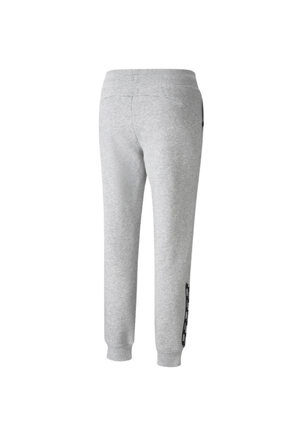 Spodnie damskie Puma Power Pants FL szare. Kolor: szary. Długość: długie