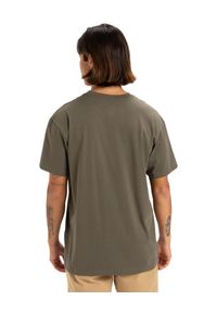 Quiksilver - Koszulka z krótkim rękawem dla Mężczyzn SKULL LINES Brązowy. Kolor: zielony. Materiał: jersey, bawełna. Długość rękawa: krótki rękaw. Długość: krótkie. Wzór: nadruk