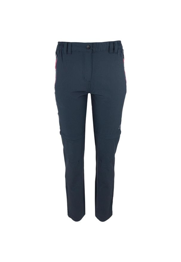 ZSPORT - Damskie spodnie trekkingowe ATHL. DPT Manola Lead 44 - Komfort i Styl. Kolor: szary. Materiał: poliester. Sport: turystyka piesza