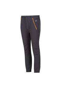 Regatta - Dziecięce Spodnie Trekkingowe Tech Mountain. Kolor: szary, wielokolorowy, pomarańczowy. Sezon: lato. Sport: turystyka piesza #1