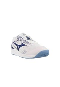 Buty halowe męskie Mizuno Cyclone Speed 5. Kolor: niebieski, wielokolorowy