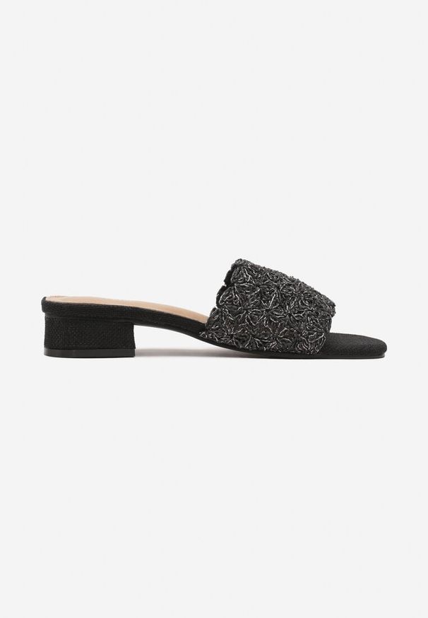Born2be - Czarne Plecione Klapki na Niskim Obcasie Camiran. Okazja: na co dzień. Kolor: czarny. Materiał: jeans, koronka. Sezon: lato, wiosna. Obcas: na obcasie. Styl: casual. Wysokość obcasa: niski