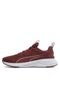 Puma Buty do biegania Incinerate Wood Violet 37628822 Fioletowy. Kolor: fioletowy