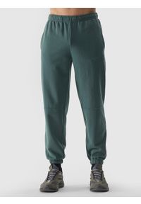 4f - Spodnie dresowe joggery męskie - oliwkowe. Kolor: wielokolorowy, brązowy, oliwkowy. Materiał: dresówka. Wzór: gładki, nadruk, ze splotem