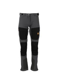 Spodnie turystyczne dla kobiet Whistler Anissy. Kolor: szary. Sezon: lato. Sport: turystyka piesza #1