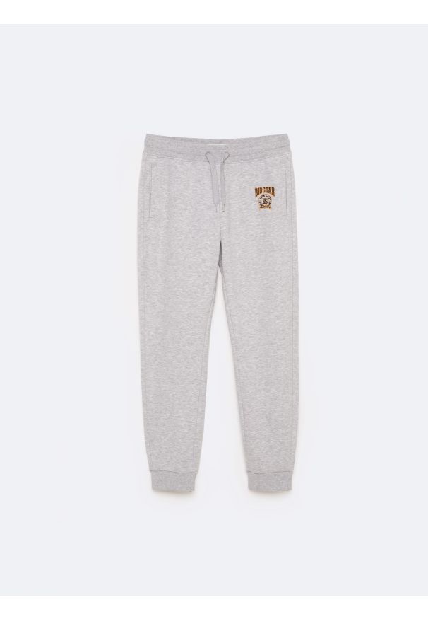Big-Star - Spodnie chłopięce dresowe szare Lironp 901. Okazja: na co dzień. Kolor: szary. Materiał: dresówka. Wzór: haft. Styl: elegancki, sportowy, casual, klasyczny
