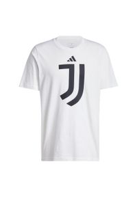 Adidas - Koszulka Juventus DNA Graphic. Kolor: biały. Materiał: bawełna