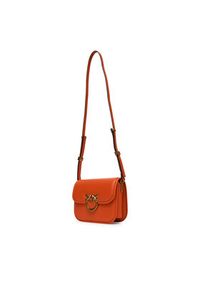 Pinko - PINKO Torebka Love Box Bag Fl Mini PE 25 PLTT 104297 A26L Pomarańczowy. Kolor: pomarańczowy. Materiał: skórzane