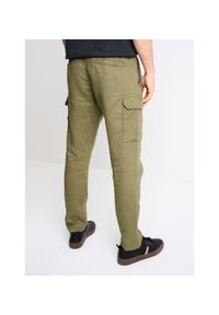 Ochnik - Spodnie męskie. Kolor: oliwkowy. Materiał: len #4