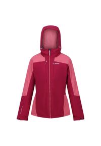 Regatta - Damska kurtka turystyczna zimowa ze stretchem Highton. Kolor: różowy, wielokolorowy, czerwony. Sezon: zima. Sport: turystyka piesza