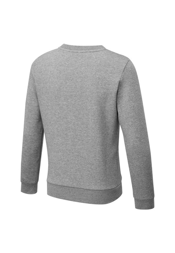 Bluza sporotwa dla dzieci Puma ESS. Kolor: szary