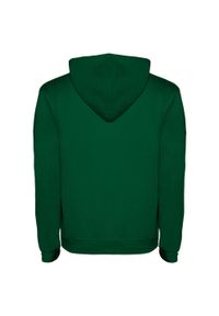 ROLY - Męska Bluza Z Kapturem Urban. Typ kołnierza: kaptur. Kolor: zielony, wielokolorowy, szary