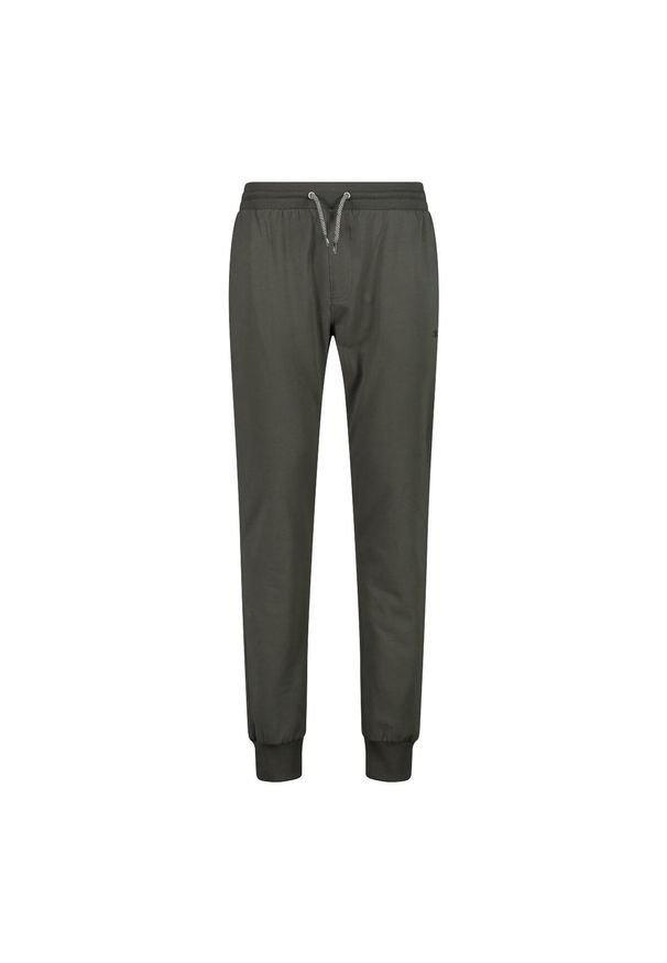 Spodnie męskie turystyczne CMP 31D4337. Kolor: zielony. Sezon: lato. Sport: turystyka piesza