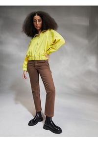 Sinsay - Bluza rozpinana - zielony. Kolor: zielony