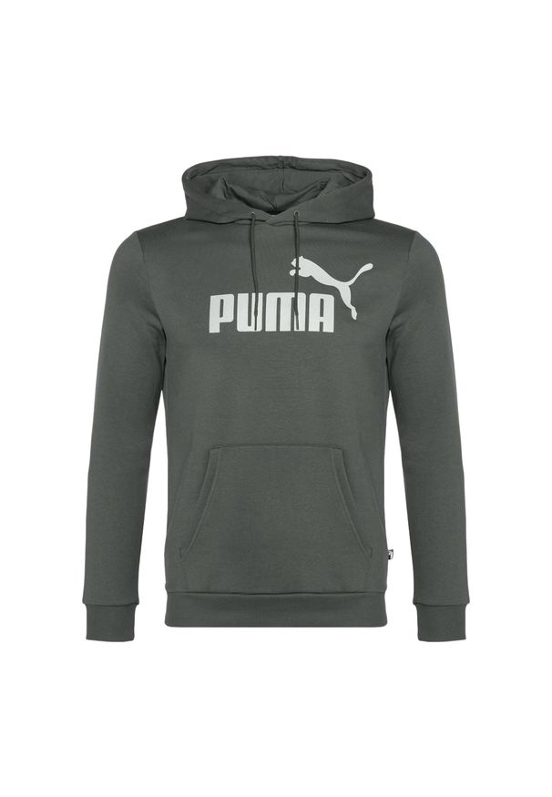 Puma - Bluza męska PUMA Essentials Big Logo Hoodie FL. Kolor: szary