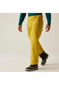 DARE 2B - Achieve II Męskie spodnie narciarskie. Kolor: żółty. Sezon: zima. Sport: narciarstwo #1