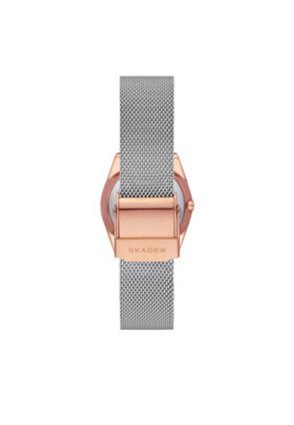 Skagen Zegarek Grenen Lille SKW3050 Srebrny. Kolor: srebrny