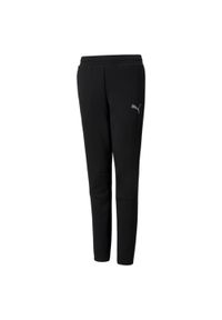 Spodnie dla dzieci Puma EVOSTRIPE. Kolor: czarny. Sport: joga i pilates