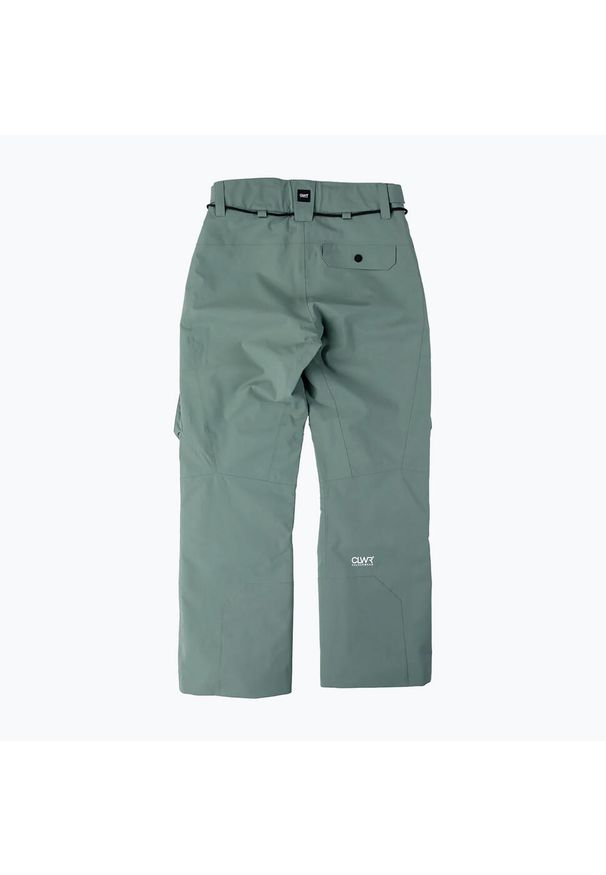 Spodnie snowboardowe męskie Colourwear Flight. Kolor: zielony. Sezon: zima. Sport: snowboard