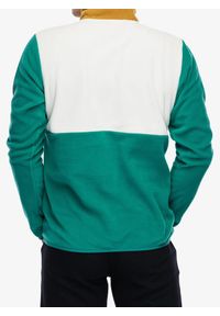 Bluza polarowa męska Helly Hansen Daybreaker Snap Pullover. Kolor: zielony. Materiał: polar