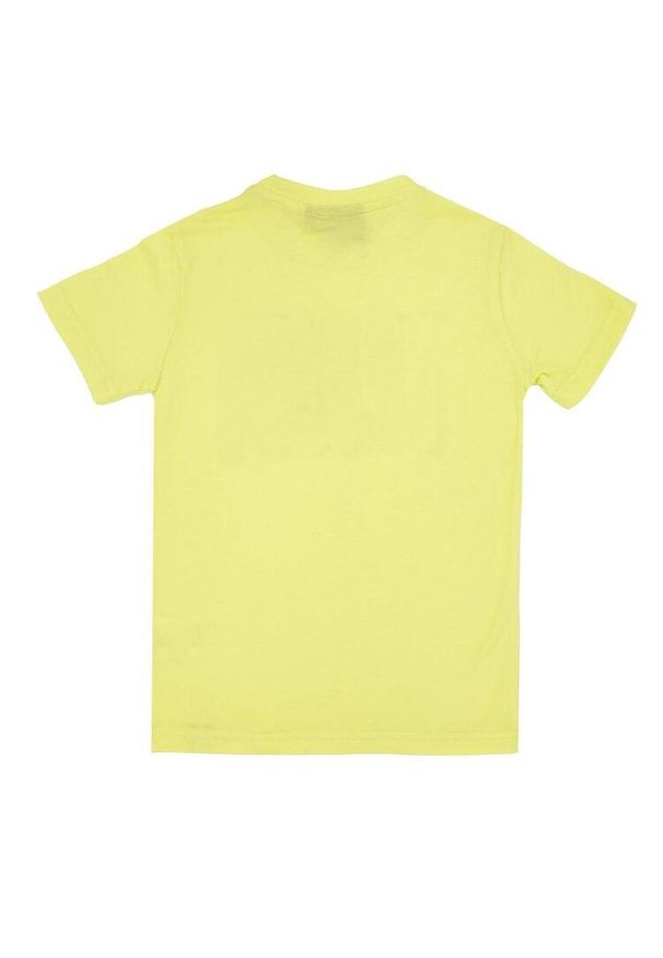 LEONE 1947 APPAREL - Dziecięcy T-shirt z krótkim rękawem i dużym logo. Kolor: zielony, wielokolorowy, żółty. Długość rękawa: krótki rękaw. Długość: krótkie. Sport: joga i pilates