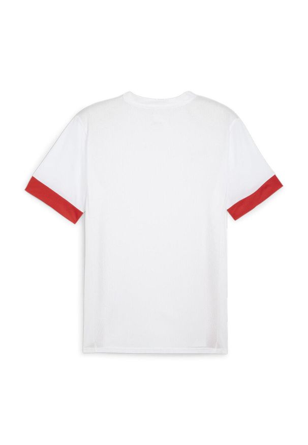 Koszulka Puma TeamGoal. Kolor: czerwony, wielokolorowy, biały. Sport: piłka nożna