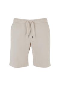 Szorty Urban Classics Stretch Twill. Kolor: szary. Długość: krótkie. Sezon: lato #1