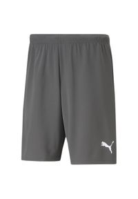 Szorty Puma Team Rise. Kolor: szary, biały, wielokolorowy. Sport: piłka nożna #1