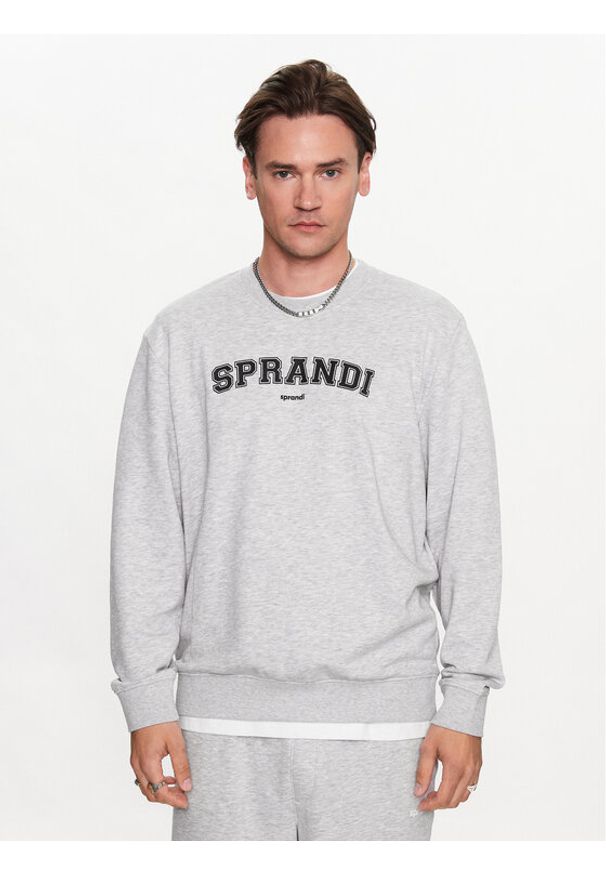 Sprandi Bluza SP3-BLM042 Szary Regular Fit. Kolor: szary. Materiał: bawełna