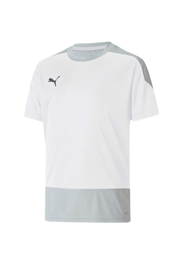 Podkoszulek Puma Teamgoal 23 Training Jersey Jr, Dzieci. Kolor: biały. Materiał: jersey