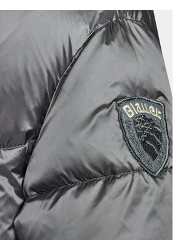 Blauer Kurtka puchowa 23WBLDC02037 Szary Regular Fit. Kolor: szary. Materiał: syntetyk, puch