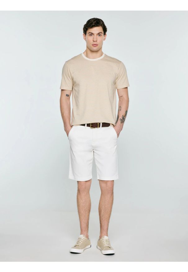 Big-Star - Koszulka męska w paski beżowa Oler 801. Kolor: beżowy. Materiał: dzianina. Wzór: paski. Sezon: lato. Styl: elegancki, klasyczny